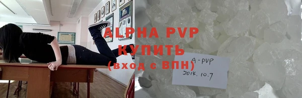 PSILOCYBIN Кулебаки