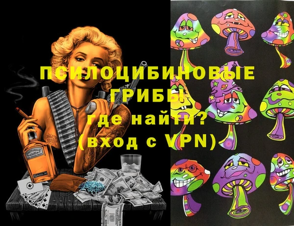 PSILOCYBIN Кулебаки