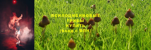 PSILOCYBIN Кулебаки