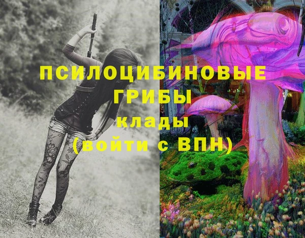 PSILOCYBIN Кулебаки