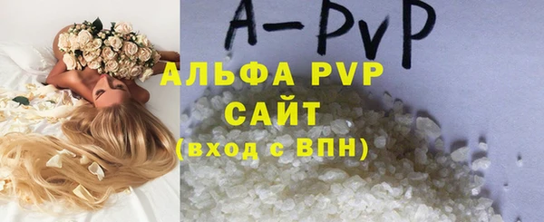 PSILOCYBIN Кулебаки