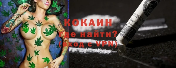 PSILOCYBIN Кулебаки